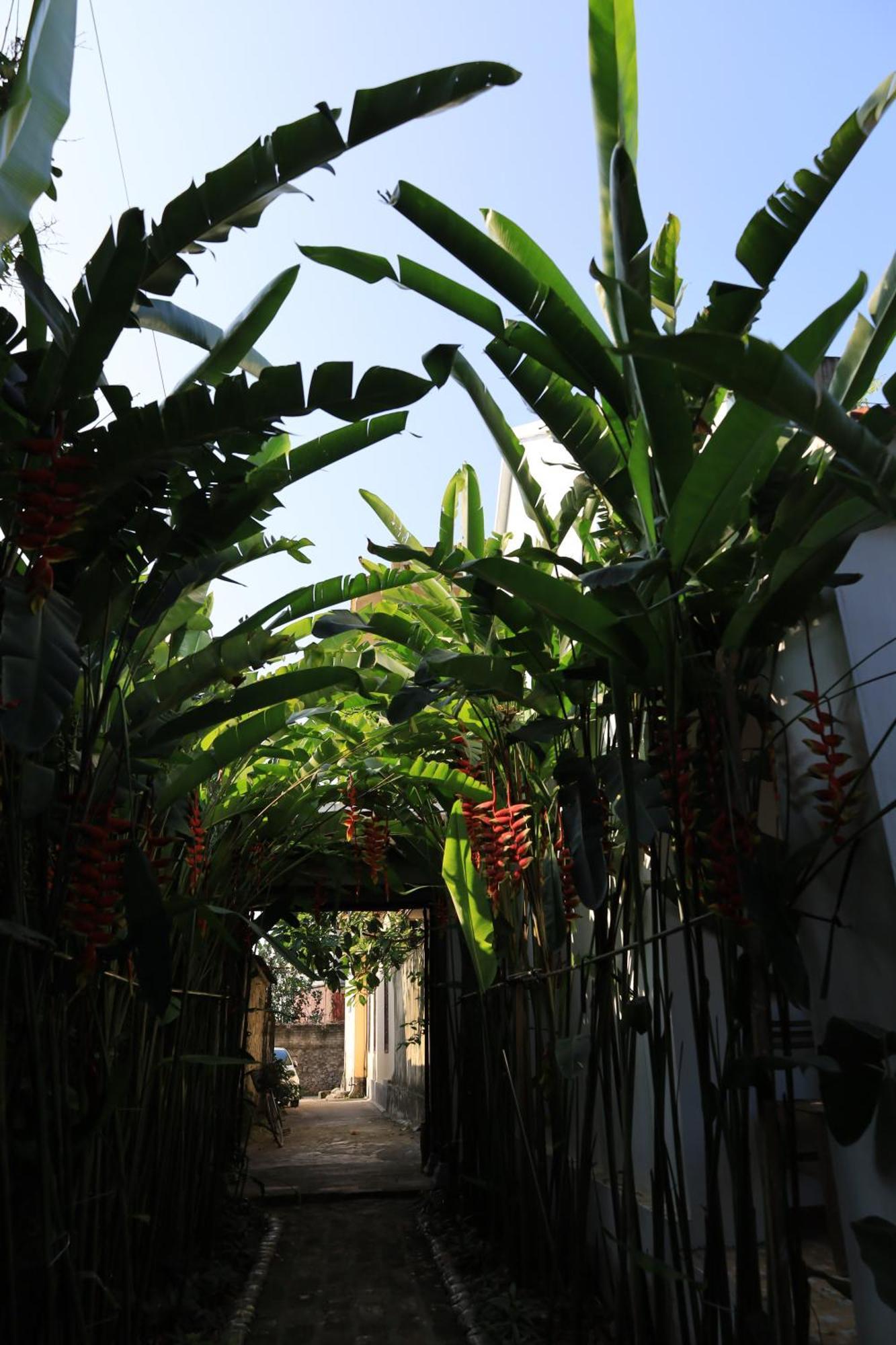 Thom'S House Hotel Ninh Binh Exterior photo